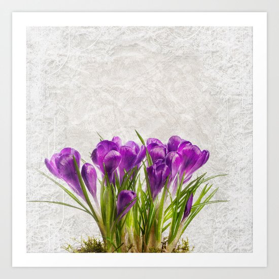 Spring purple flower Art Print