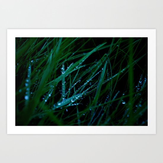 Morning Art Print