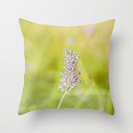 Lavender flower Throw Pillow