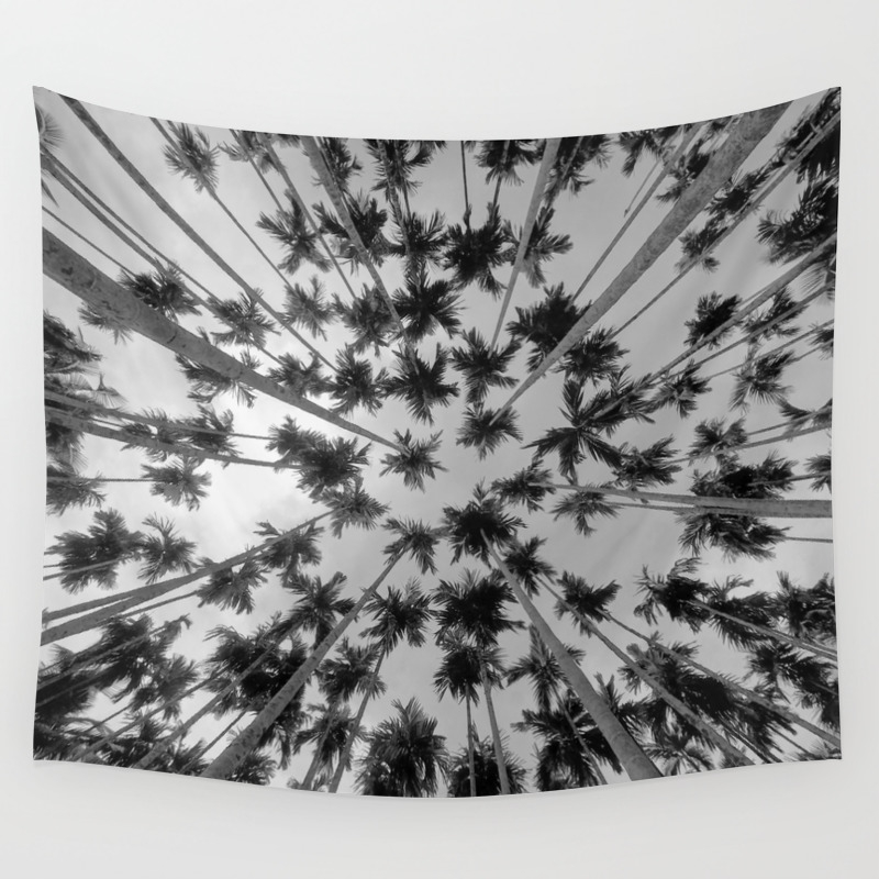 Above Palm Trees Black And White Wall Tapestry By Nocolordesigns