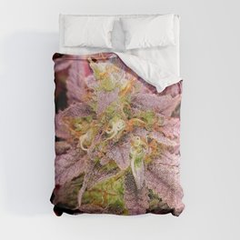 Passionately Purple Comforter