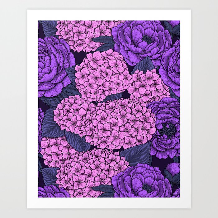 Peony and hydrangea in pink and violet Art Print