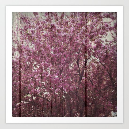 In Bloom Art Print