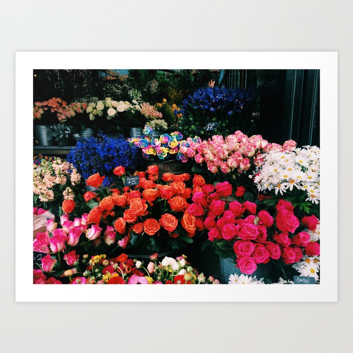 Flowers in the Grounds Art Print