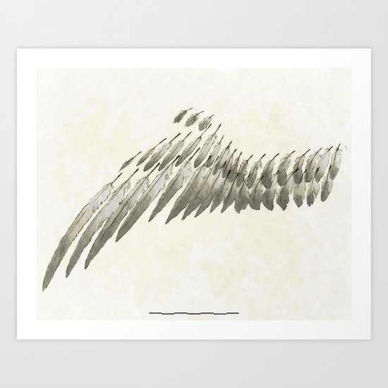 Wing Art Print