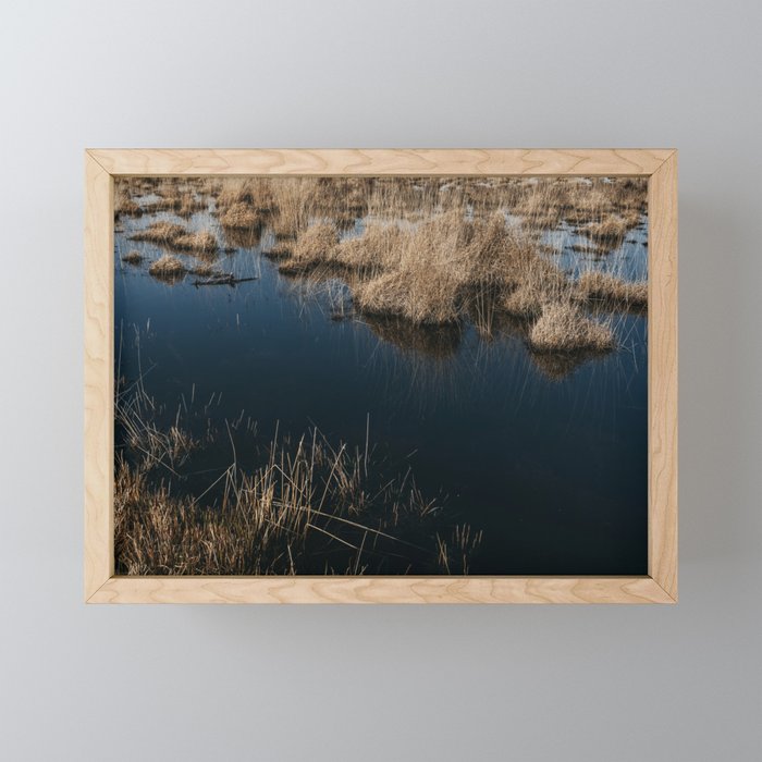 Kalmthoutse Heide | Tall grasses in clear blue water Framed Mini Art Print