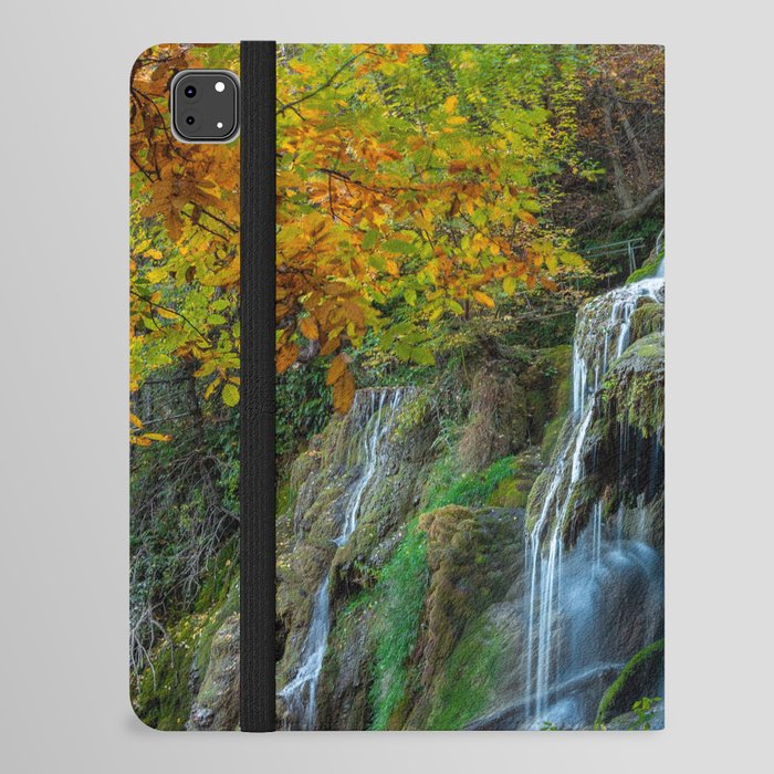 Waterfalls iPad Folio Case