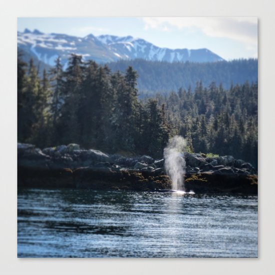Alaskan Whale Canvas Print