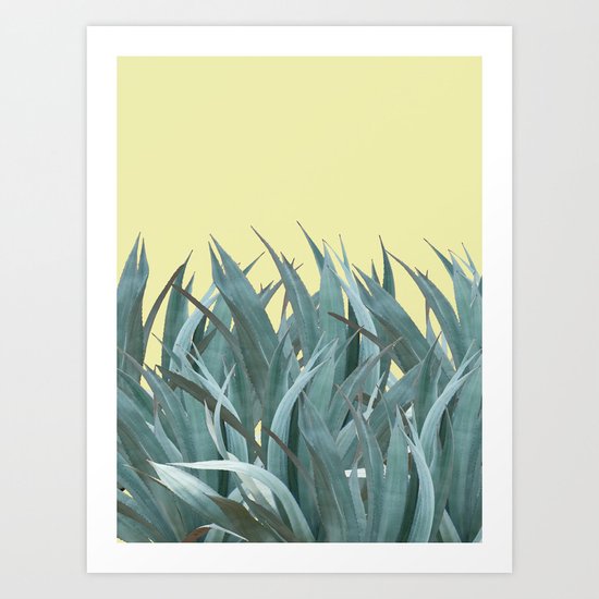 Agaves Art Print