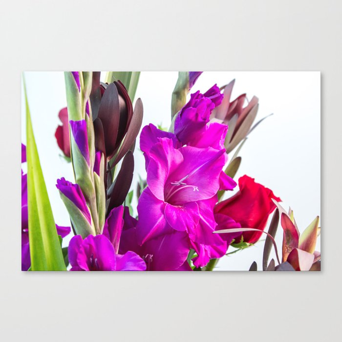 Tropical Gladiolus Canvas Print