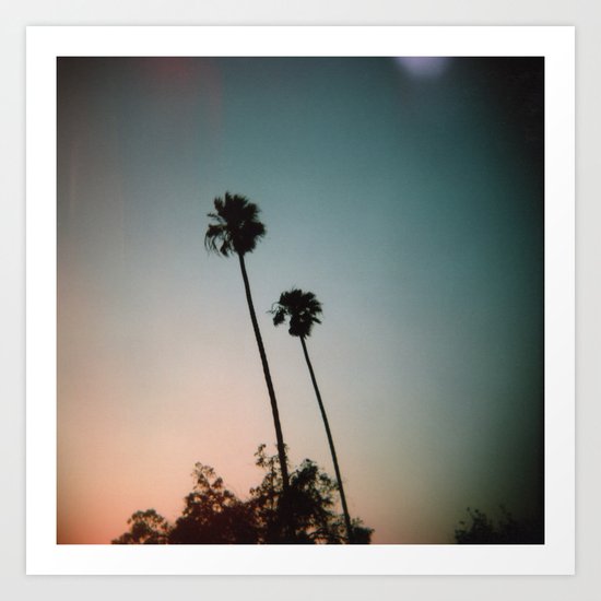 Sunset Palms Art Print