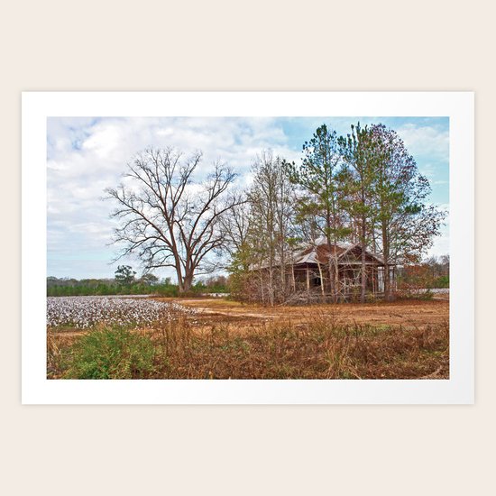 Hidden Home Art Print