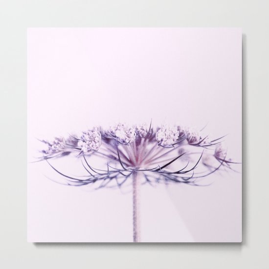 lilac Metal Print