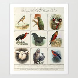 These Birds Do Not Exist, 3 Art Print