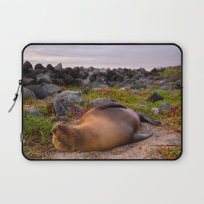 Sleeping Galápagos sea lion Laptop Sleeve
