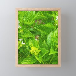 Bee on nature plants  Framed Mini Art Print