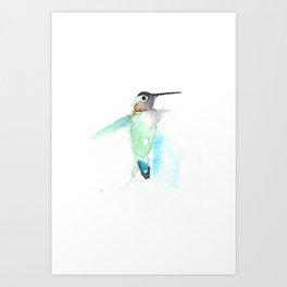 Watercolor Painting of Ruby-Throated Hummingbird in Flight with Loose Blue Background Art Print