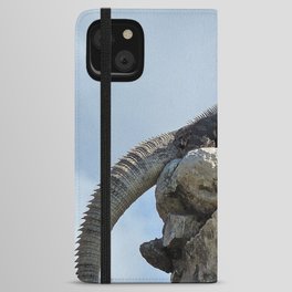 Mexico Photography - Majestic Iguana Standing On Rocks iPhone Wallet Case