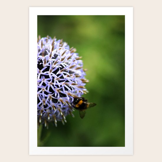 BumbleBee Art Print