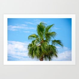Palm tree and clar sky Art Print | Green, Palm, Digital, Photo, Tree, Color, Blue, Hdr, Coconut, Sky 