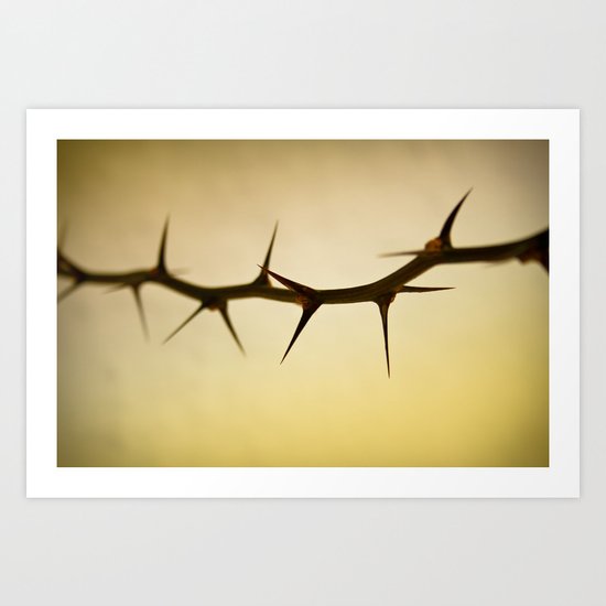 The Sharp Point of Winter Art Print