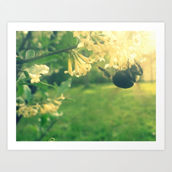 Busy Bee Art Print