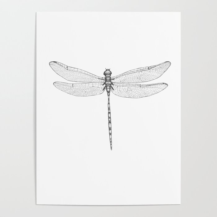 Dragonfly Wings Poster
