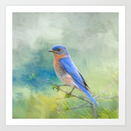 Bluebird In The Garden Art Print