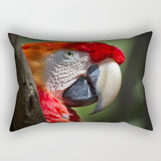 Scarlet Macaw Rectangular Pillow