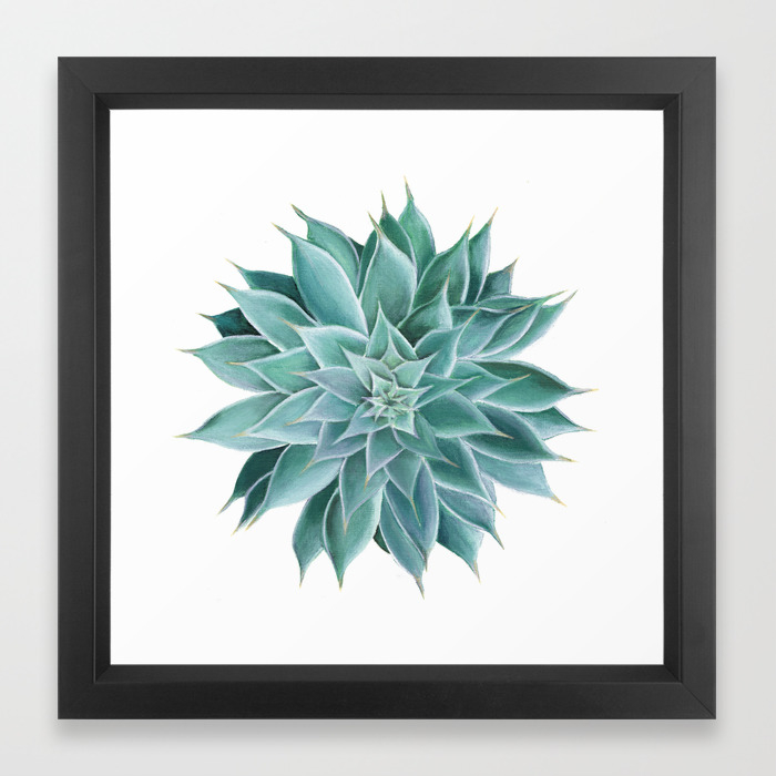 Succulent Acrylic Painting Framed Art Print By Anne Marieart