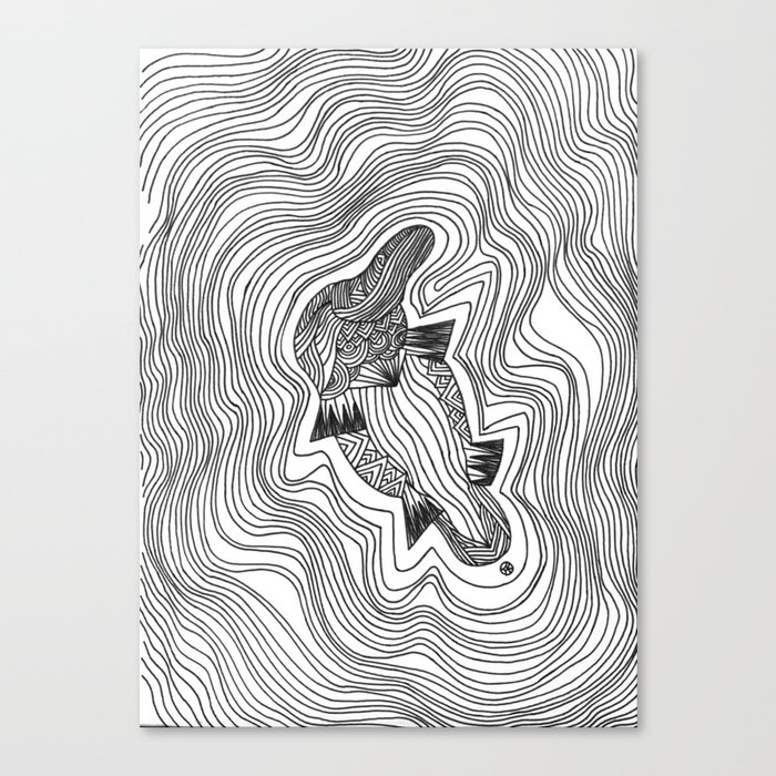 platypus Canvas Print