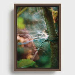 A Web of Colors Framed Canvas