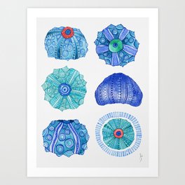 Sea Urchins Art Print