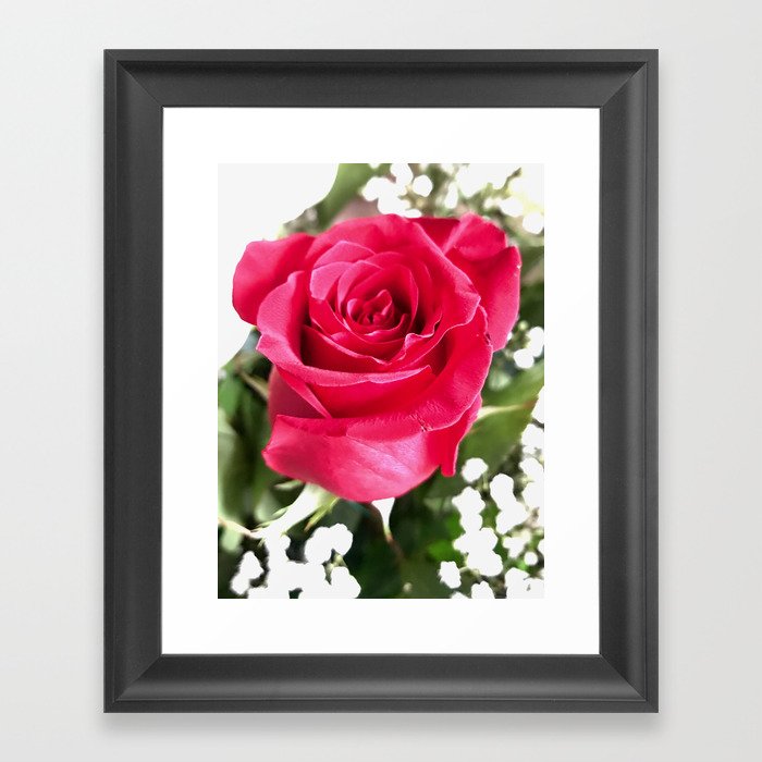 Red Rose Framed Art Print