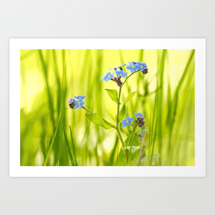 Lovely Morning Meadow Forget Me Not #decor #society6 #buyart Art Print