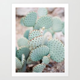 Cactus Print Art Print