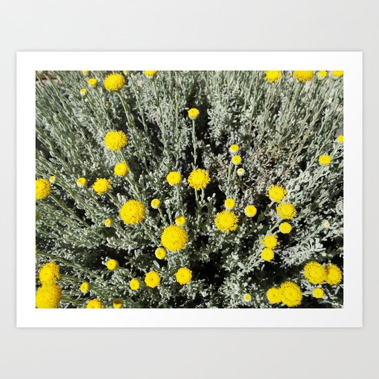 Grey & Yellow Art Print