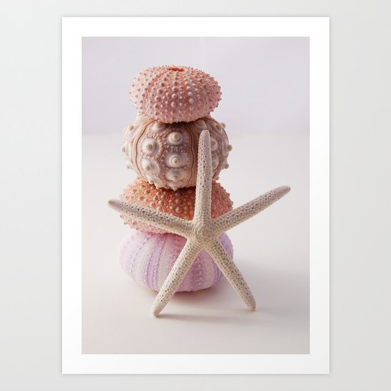 Sea Urchin and Starfish Art Print