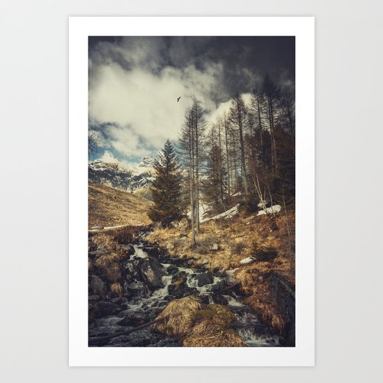 Mountain spring Art Print