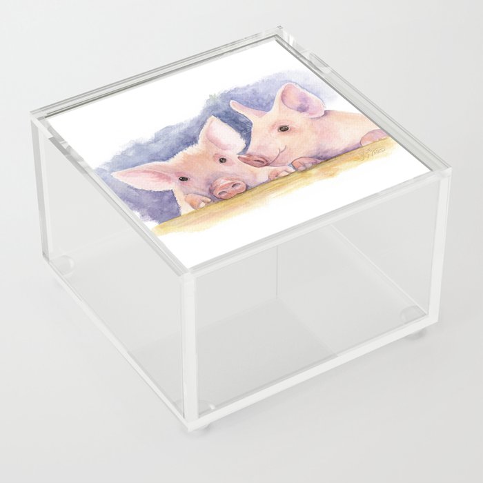Pink Piggies Pigs Watercolor  Acrylic Box