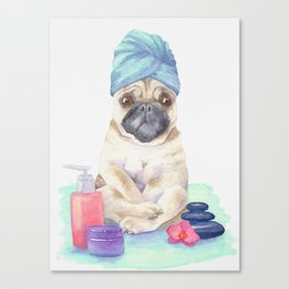 Spa day for a pug Canvas Print