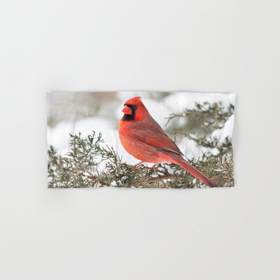 Regal Cardinal Hand & Bath Towel