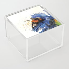 Bumble Acrylic Box