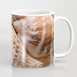 Seashells collection background Coffee Mug