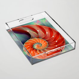 Nautilus Shell - Nature's Perfection by Sharon Cummings Acrylic Tray