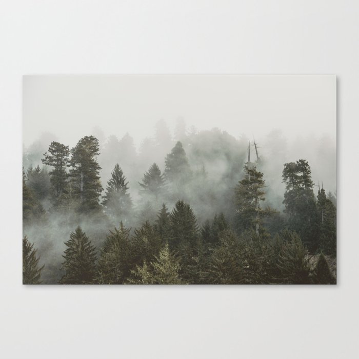 Adventure Times - Nature Photography Canvas Print