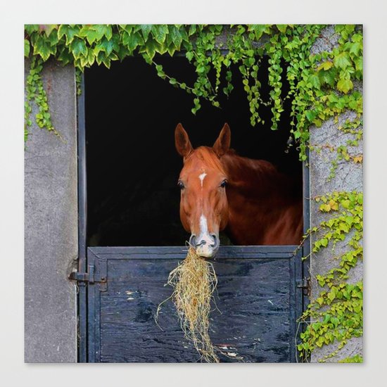 Home is where the Horse is Canvas Print