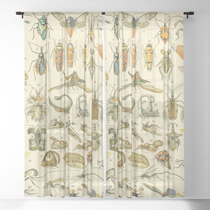 Sheer Curtain