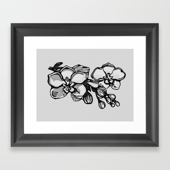 Grey Orchids Framed Art Print