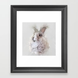 Dwarf Angora Rabbit Wildlife Portrait Framed Art Print